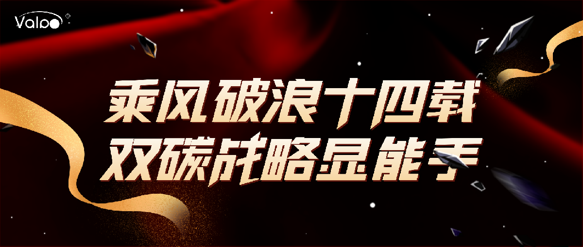 乘风破浪十四载，双碳战略显身手