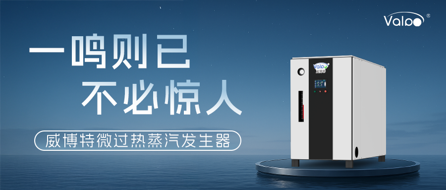 一鸣则已，不必惊人