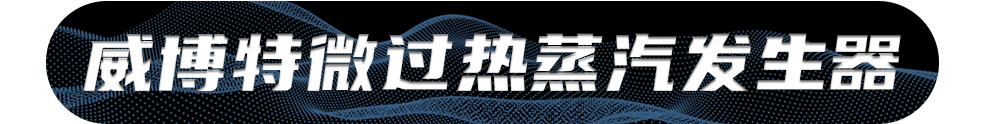 威博特微过热蒸汽发生器 拷贝.jpg